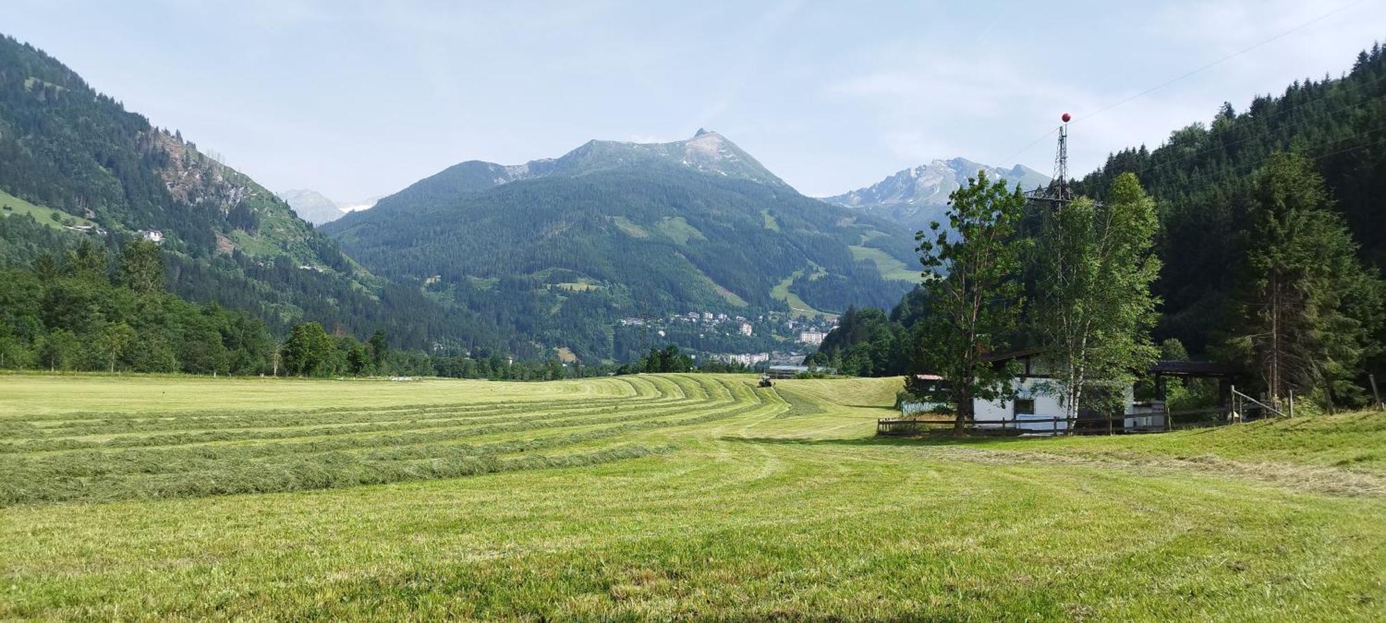 Villa Bio Bauernhof Schweizerhof Bad Hofgastein Exterior foto